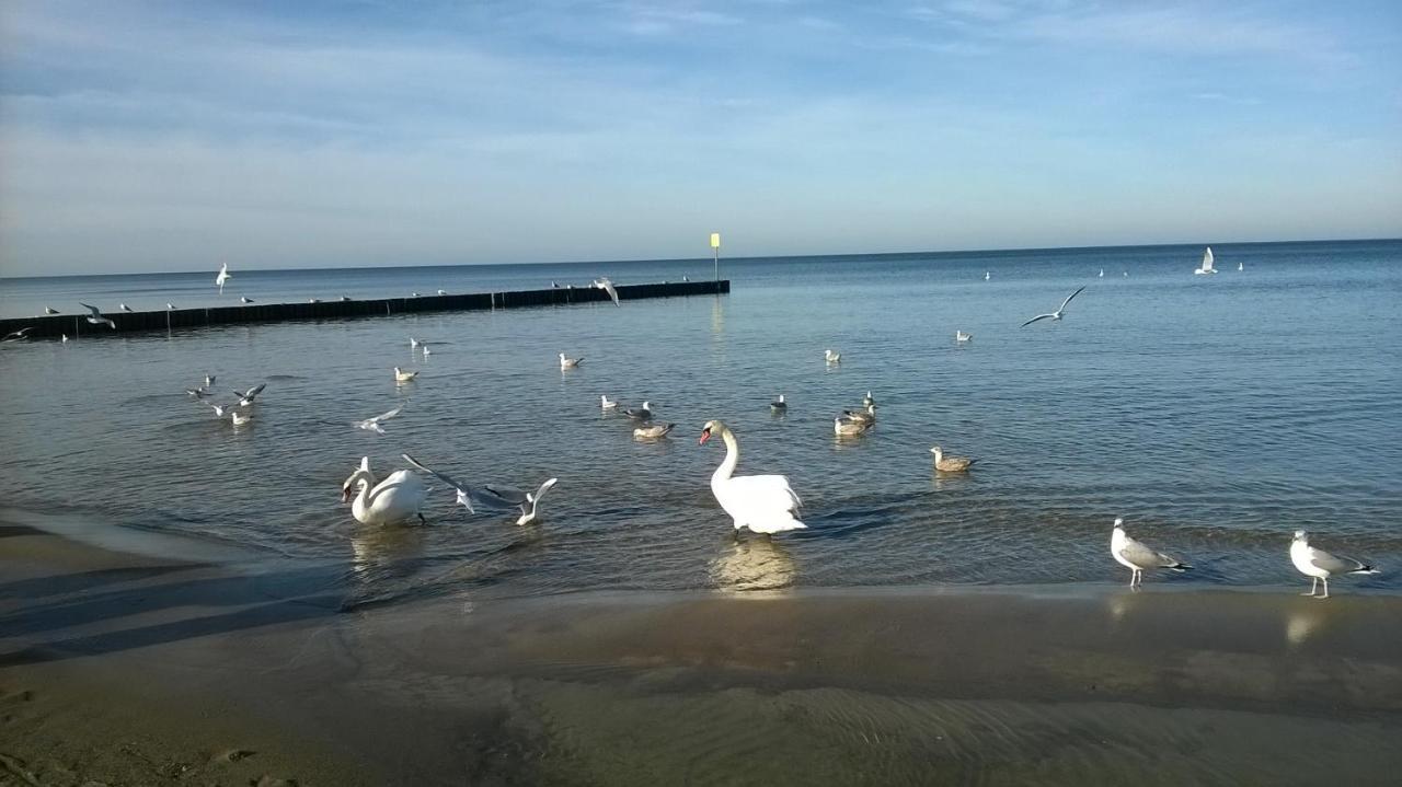 W Kolobrzegu Blisko Plazy, Parku I Promenady Apartment Kolobrzeg